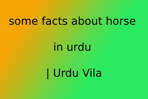 some facts about horse in urdu | Urdu Vila
