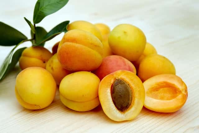 Health Benefits of Apricot For Diabetes Khubani K Fayde Urdu 