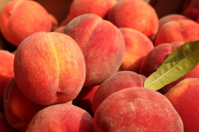 Health Benefits Of Peach For Detox Kidney And Diabetes Urdu