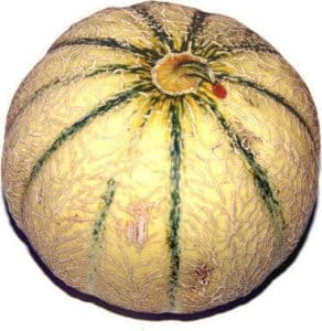 Khali Pait Kharbooza Khane K Fayde - Musk Melon Benefits In Empty Stomach For Kidney And Liver
